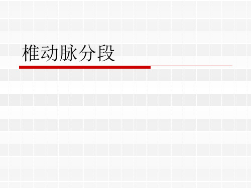 (完整版)椎动脉分段