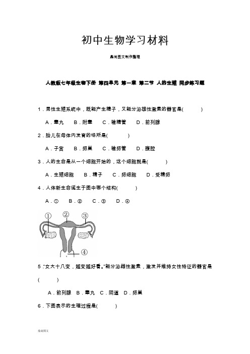 人教版七下生物第四单元 第一章 第二节 人的生殖 同步练习题