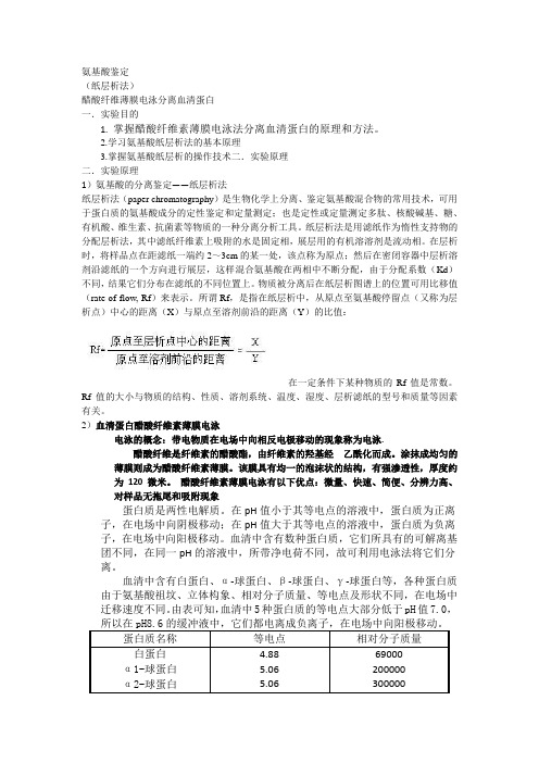 氨基酸鉴定实验报告