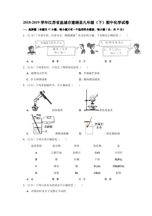 2018-2019学年江苏省盐城市建湖县九年级(下)期中化学试卷(解析版)