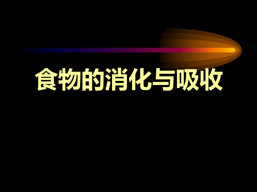《食物的消化与吸收》浙教版九年级科学上册PPT教材课件(4篇)