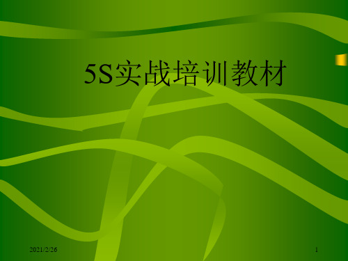 日本5s实战培训精典教材ppt