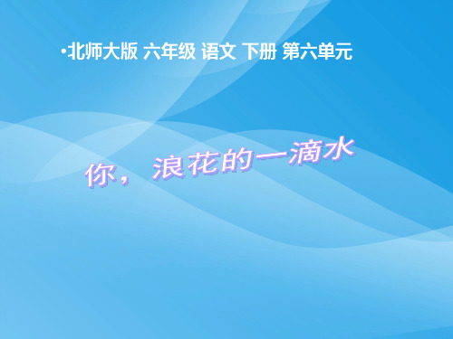 北师大版小学六年级下册语文《你,浪花的一滴水》课件PPT课件PPT