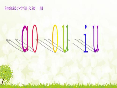 《ao ou iu》ppt课件  部编版课件2