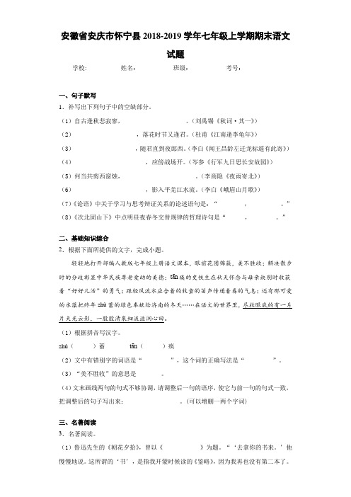 安徽省安庆市怀宁县2018~2019学年七年级上学期期末语文试题(含答案解析)