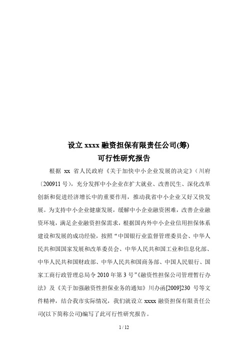 设立融资担保公司可行性报告
