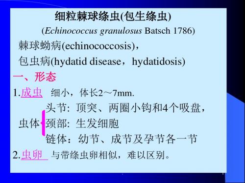 包虫ppt演示课件ppt演示课件