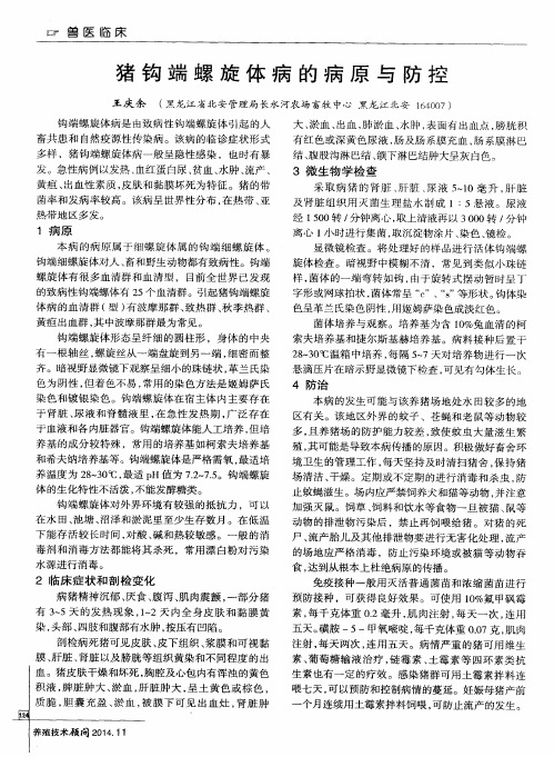 猪钩端螺旋体病的病原与防控