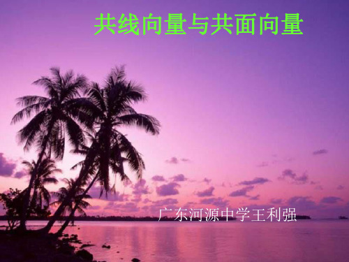 共线向量