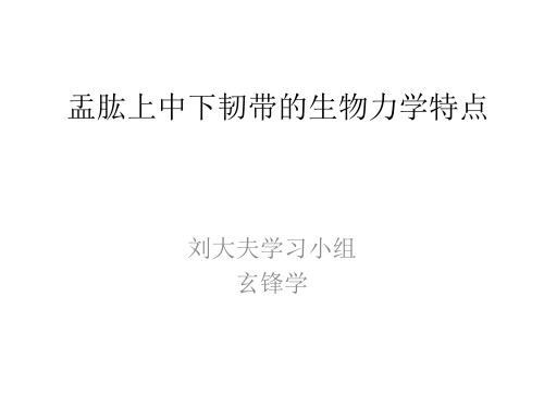 盂肱韧带解剖