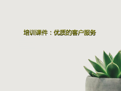 培训课件：优质的客户服务共31页