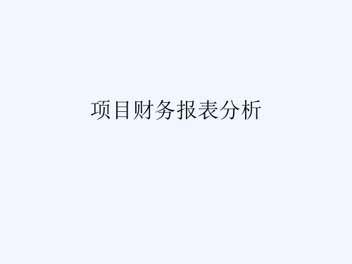 投资项目分析报表 PPT