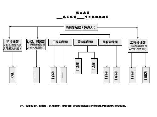 项目公司组织架构图(精)