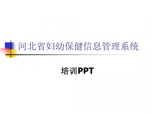 河北省妇幼保健信息管理系统 ppt课件