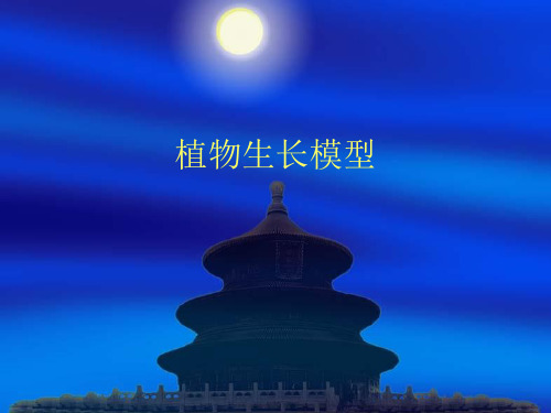 数学模型植物生长讲解