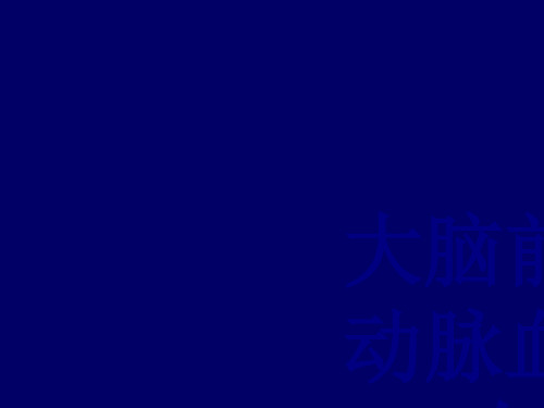 大脑前中后动脉血管分布图讲义