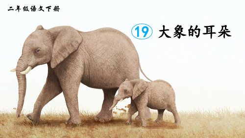 部编版二年级语文下册第19课《大象的耳朵》优质课件【最新】