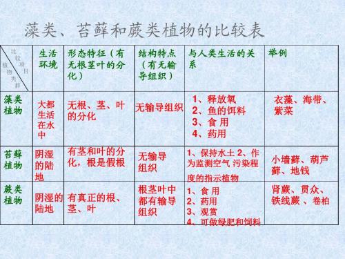 藻类苔藓蕨类植物复习