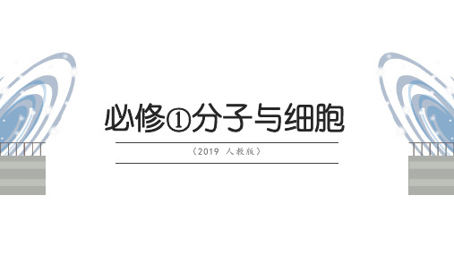 6.1 细胞的增殖 课件 【新教材】人教版(2019)高中生物必修一