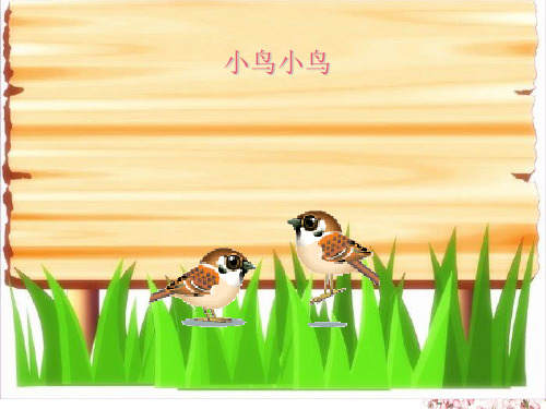 (赛课课件)五年级下语文《小鸟 小鸟》 (共7张PPT)