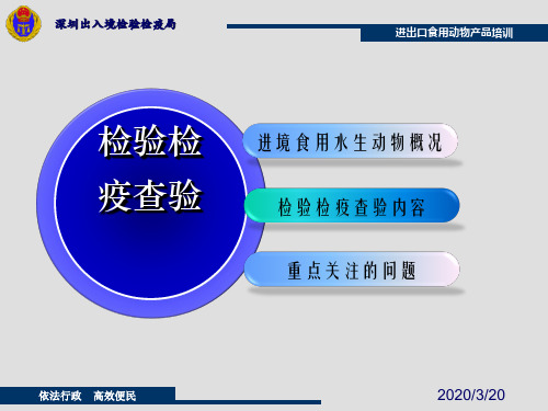 食品安全员培训课件—进境食用水生动物检验检疫现场查验-31页PPT资料