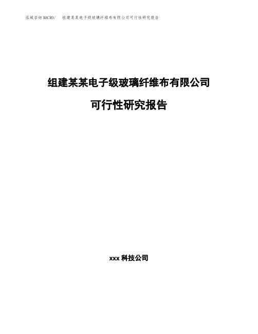 组建某某电子级玻璃纤维布有限公司可行性研究报告 (3)