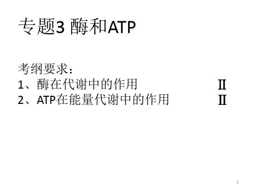 酶和ATP二轮复习ppt课件