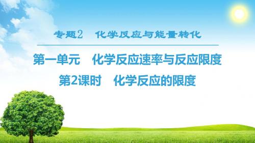2019学年苏教版高中化学必修二课件：专题2 第1单元 第2课时 化学反应的限度