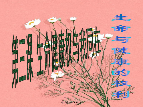 生命与健康的权利PPT教学课件