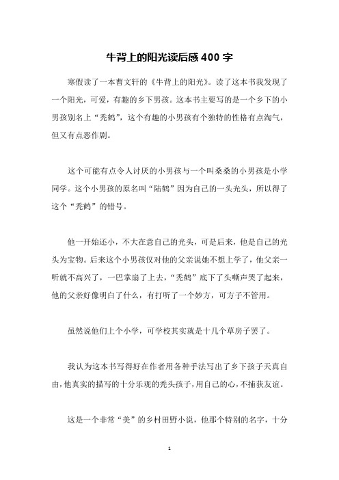 牛背上的阳光读后感400字
