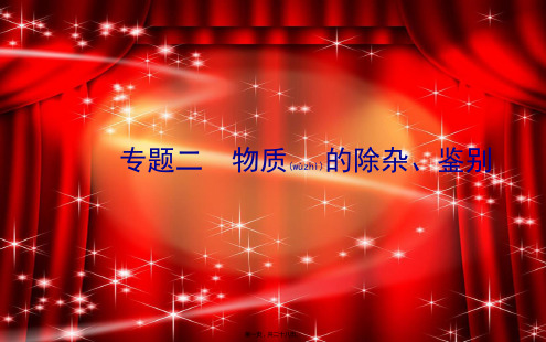 中考化学复习专题二物质的除杂、鉴别