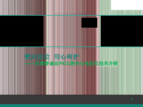 PICC腔内心电图定位技术PPT课件