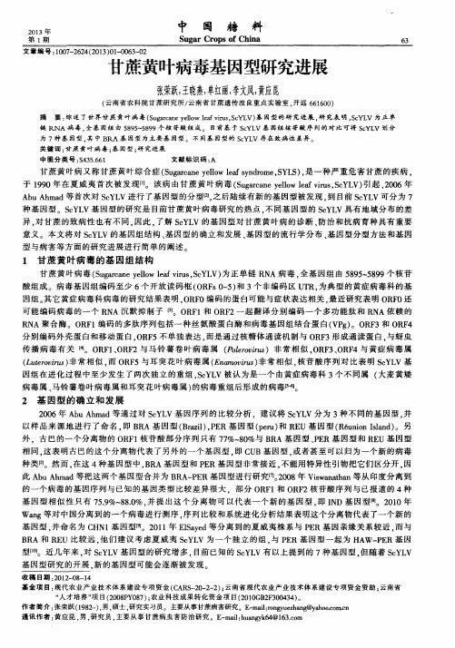 甘蔗黄叶病毒基因型研究进展