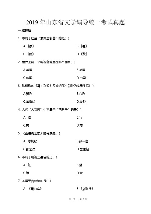 2019年山东省文学编导统一考试真题