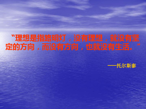 《在奋斗中实现理想》课件