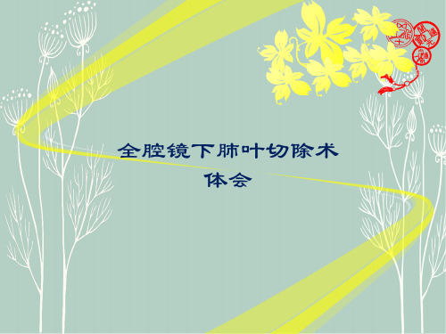 全腔镜下肺叶切除术体会