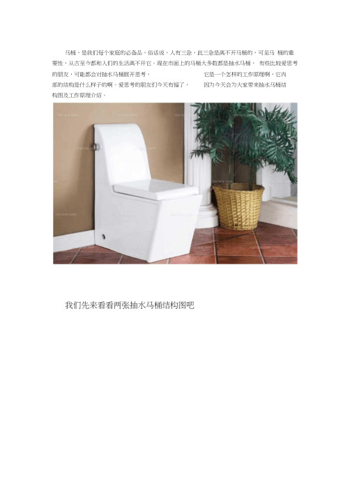 抽水马桶结构图及工作原理介绍word精品