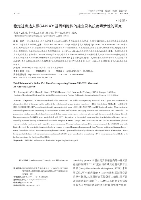 稳定过表达人源SAMHD1基因细胞株的建立及其抗病毒活性的研究
