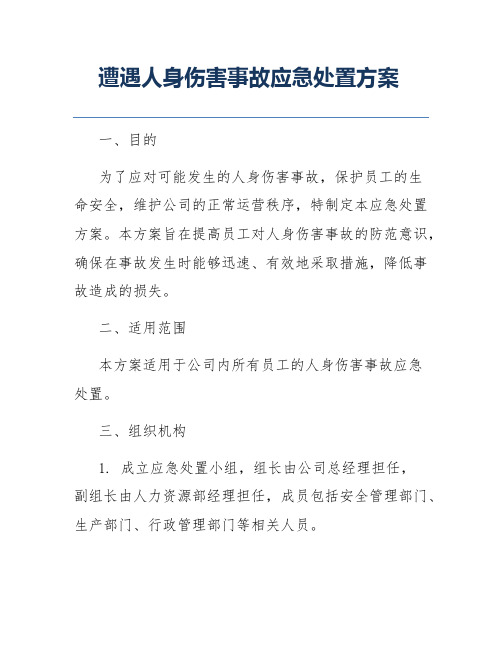 遭遇人身伤害事故应急处置方案
