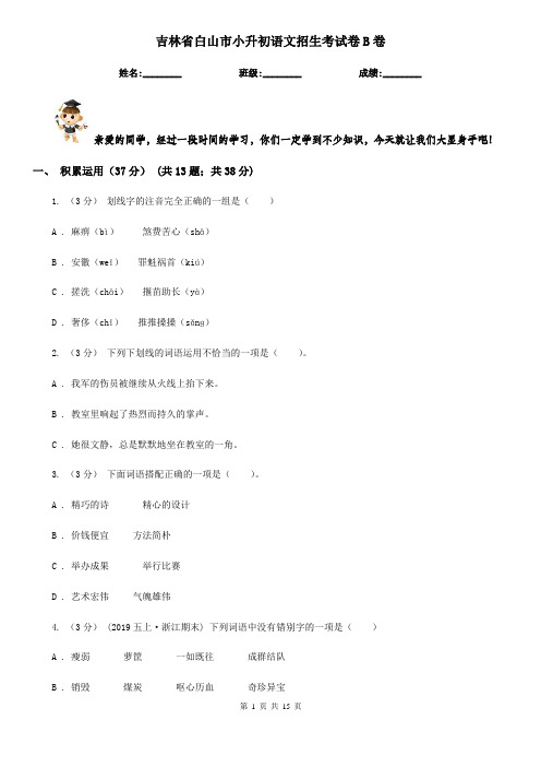 吉林省白山市小升初语文招生考试卷B卷