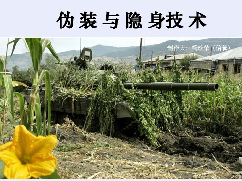 伪装与隐身技术ppt课件
