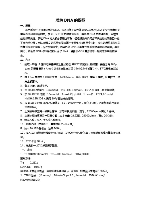 质粒DNA的提取分析