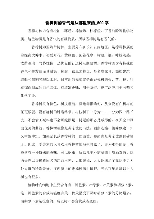 香樟树的香气是从哪里来的_500字