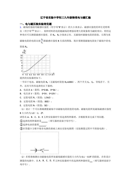 辽宁省实验中学初三九年级物理电与磁汇编