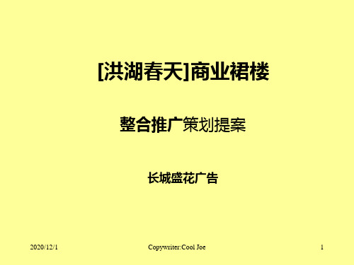 深圳商业市场项目定位分析