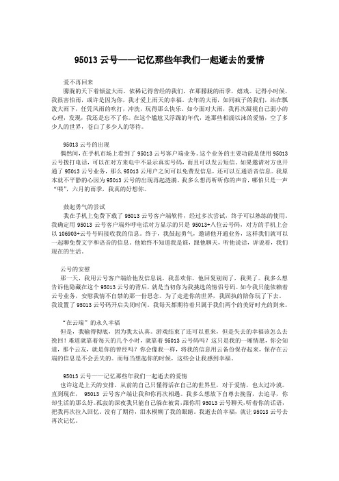 95013云号—记忆那些年我们一起逝去的爱情