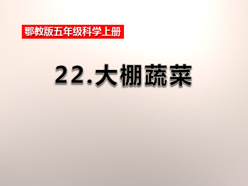 《大棚蔬菜》农田 PPT实用课件