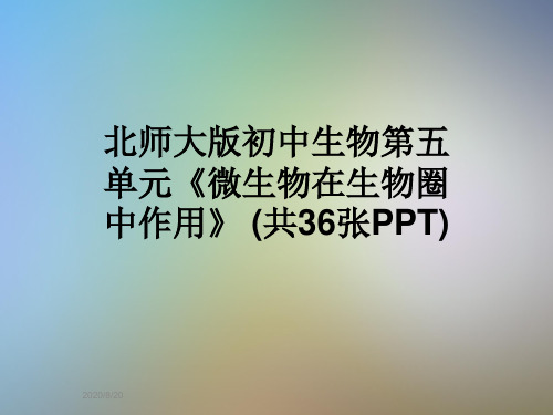 北师大版初中生物第五单元《微生物在生物圈中作用》 (共36张PPT)
