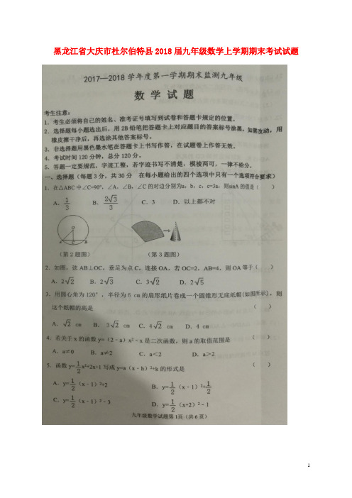 黑龙江省大庆市杜尔伯特县九年级数学上学期期末考试试题(扫描版) 新人教版五四制