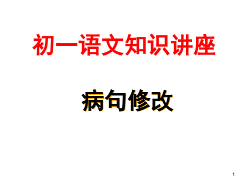 初一语文病句修改(课堂PPT)